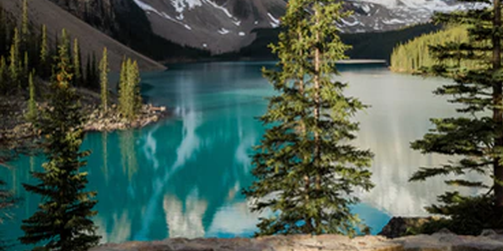 Support Canadian Businesses for Canada Day